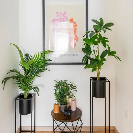 Homy Lakeside Symphony In Am Bodensee Bregenz